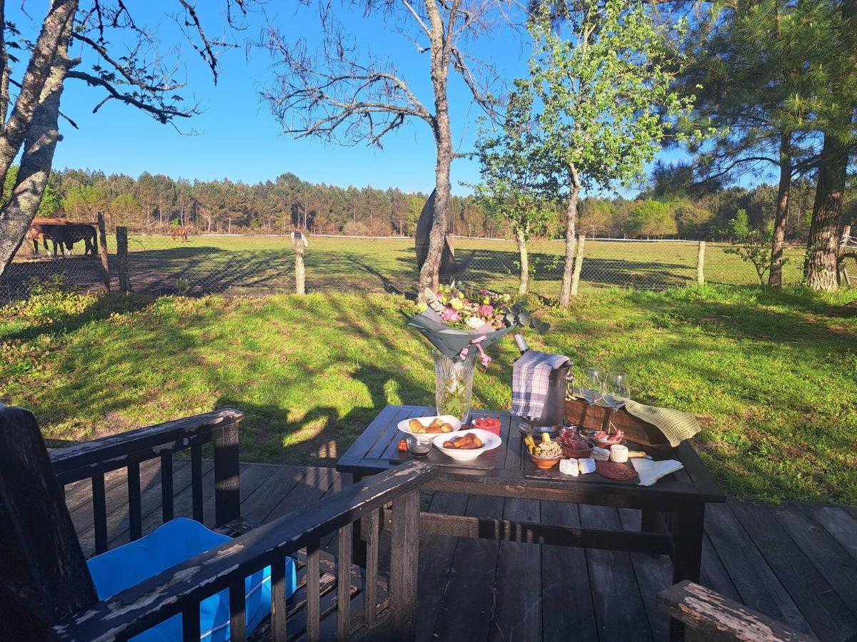 Domaine L'Oree Du Marais Le Barp Exteriér fotografie